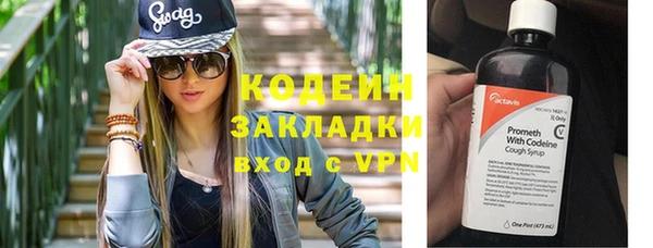 шишки Лабытнанги