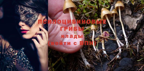 гидра Коряжма